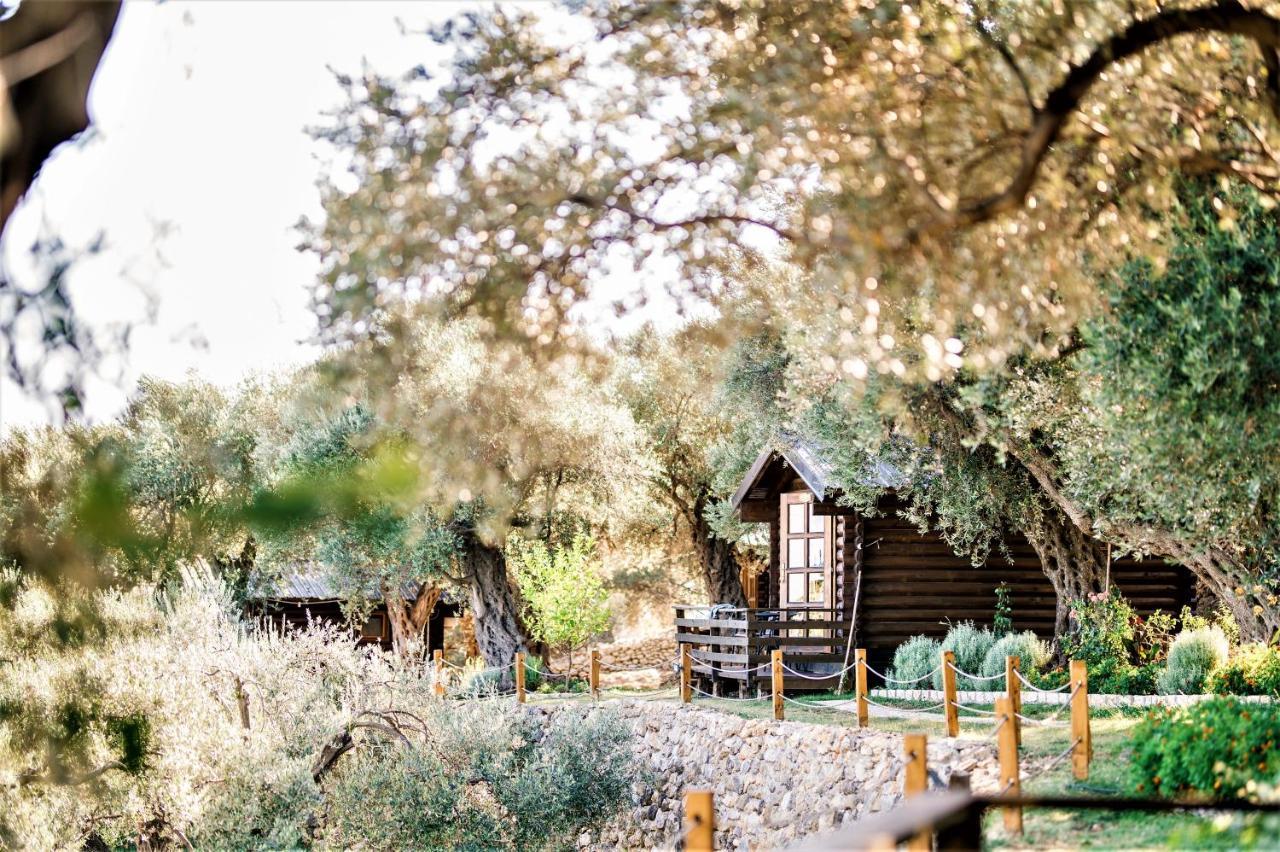 Holiday Park Olive Tree Ulcinj Exterior photo