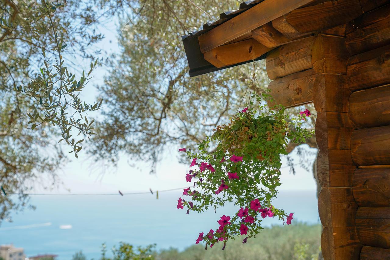 Holiday Park Olive Tree Ulcinj Exterior photo